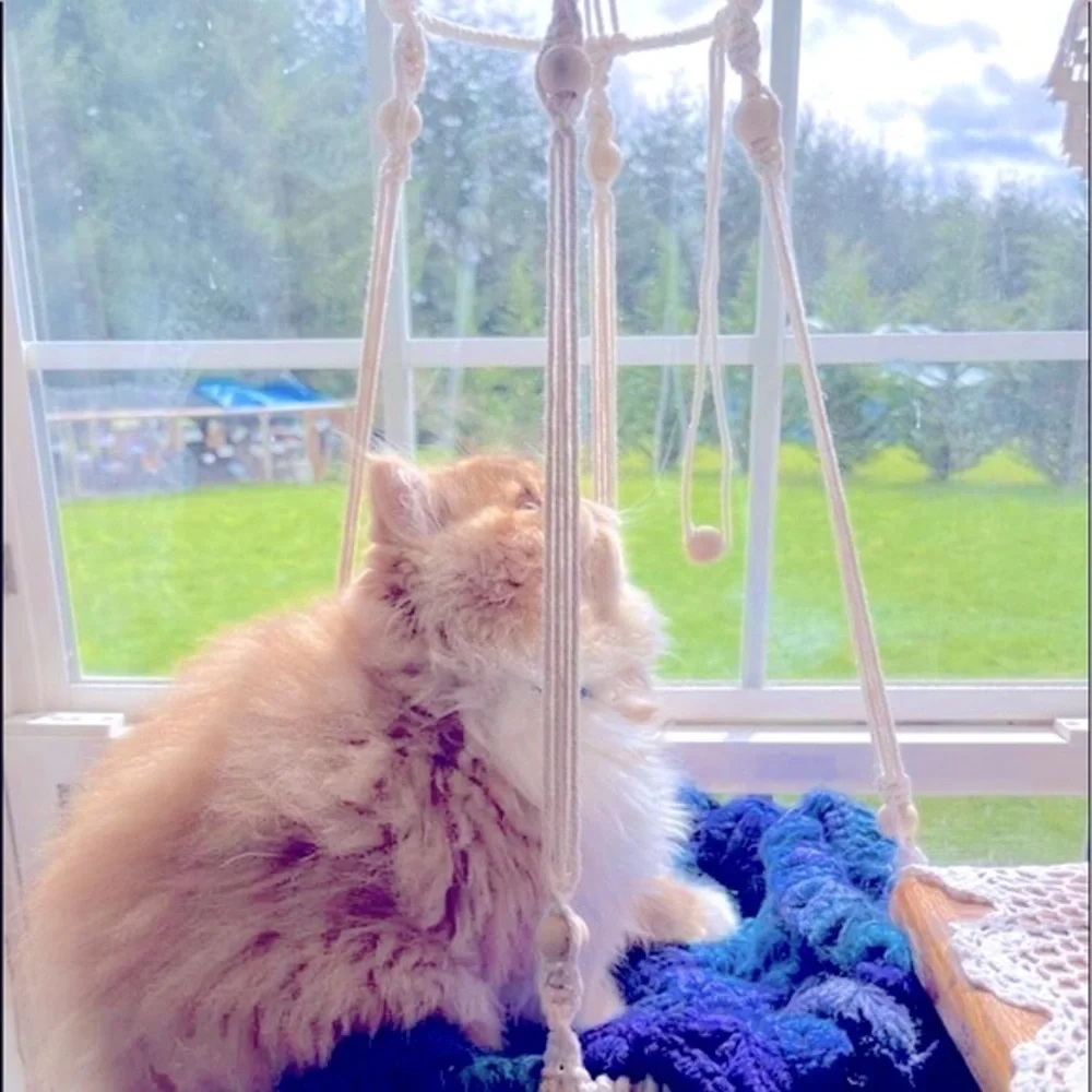 Hp🐾 🐈‍⬛Uniquely Handcrafted Stylish »-»Bohemian«-« Macramé Artistry Pet Beds🆕